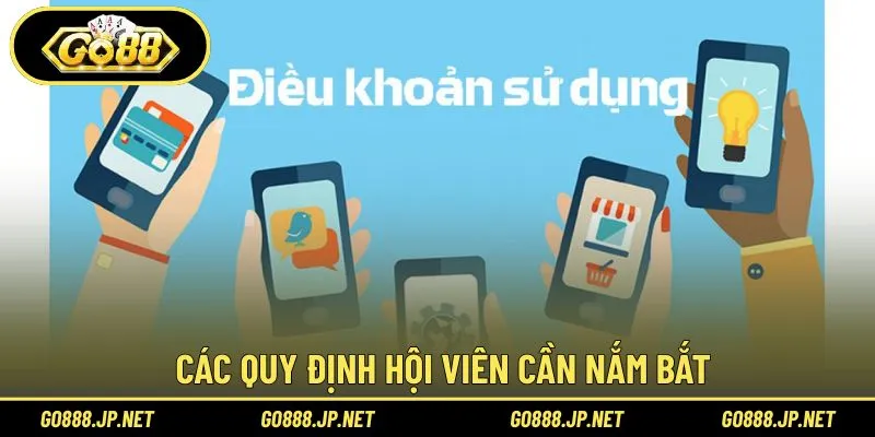 Những nguyên tắc quan trọng cần biết