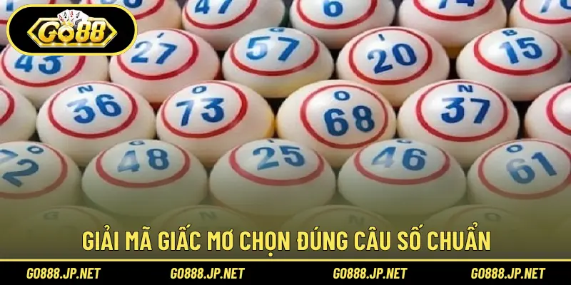 Giải mã giấc mơ chọn đúng cầu số chuẩn 